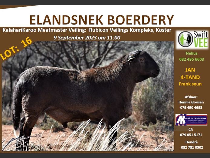 RSL 16 | ELANDSNEK BOERDERY