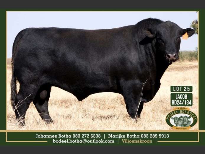 BD240134 | BODEEL BOERDERY