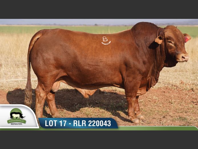 RLR 220043 | RHENOSTERVALLEI
