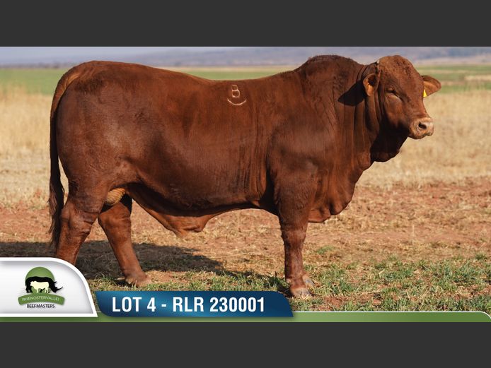 RLR 230001 | RHENOSTERVALLEI