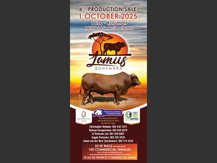 LAMUS BONSMARA 6TH PRODUCTION SALE