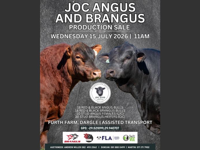 JOC ANGUS & BRANGUS  PRODUCTION SALE