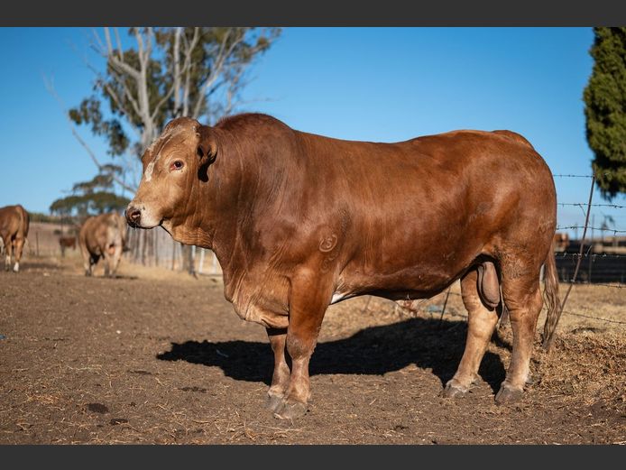 SE2393C | OUBOET BOERDERY