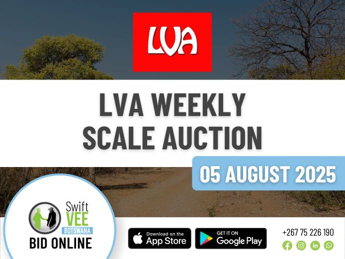 LVA WEEKLY SCALE AUCTION