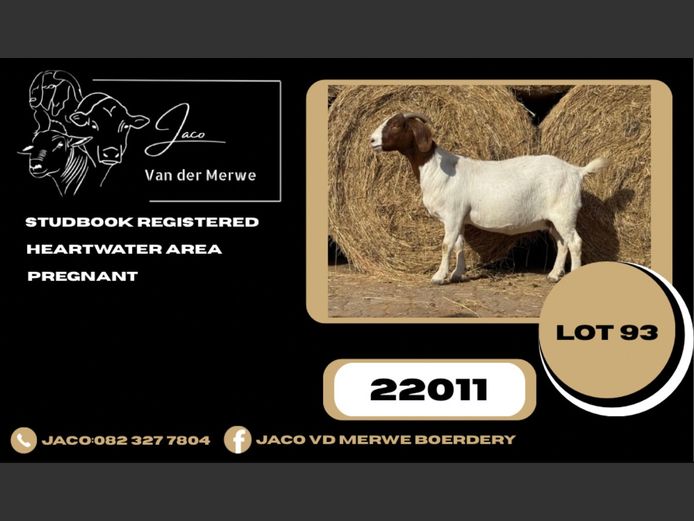 220011 | JACO VAN DER MERWE