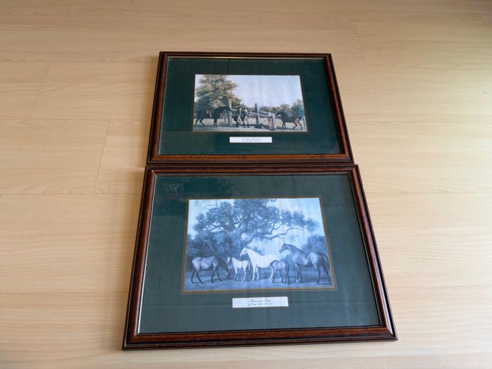 Set of 2 Pictures - Both Framed 