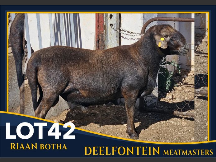 RBF 230001 | DEELFONTEIN MEATMASTERS