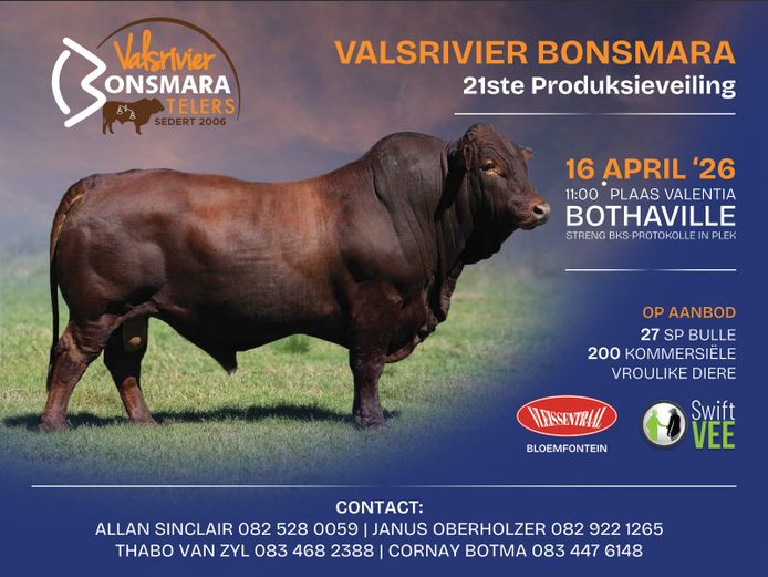 VALSRIVIER BONSMARAS TELERS PRODUKSIEVEILING