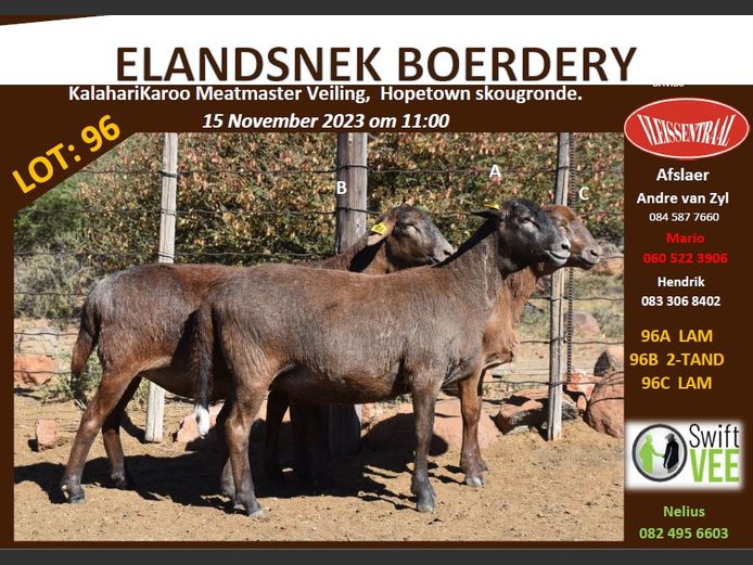 RSL 96 C | ELANDSNEK BOERDERY
