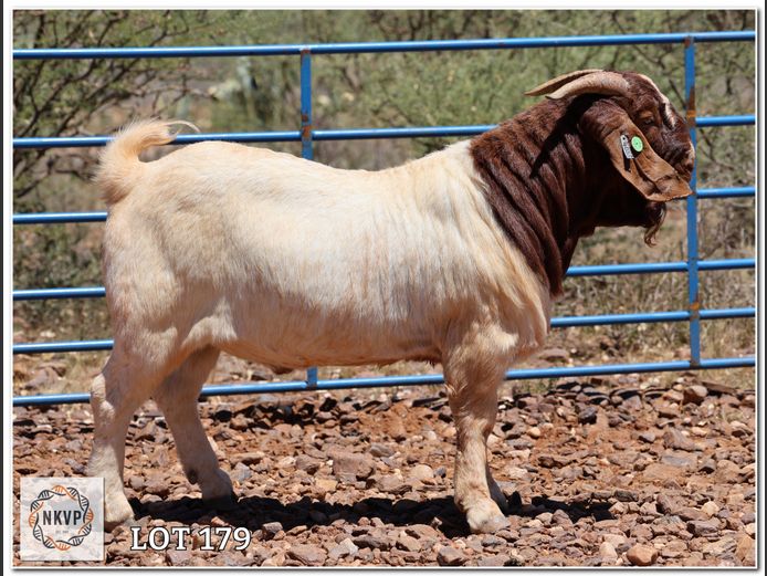 1885 24 0053 | LOUIS J VAN RENSBURG