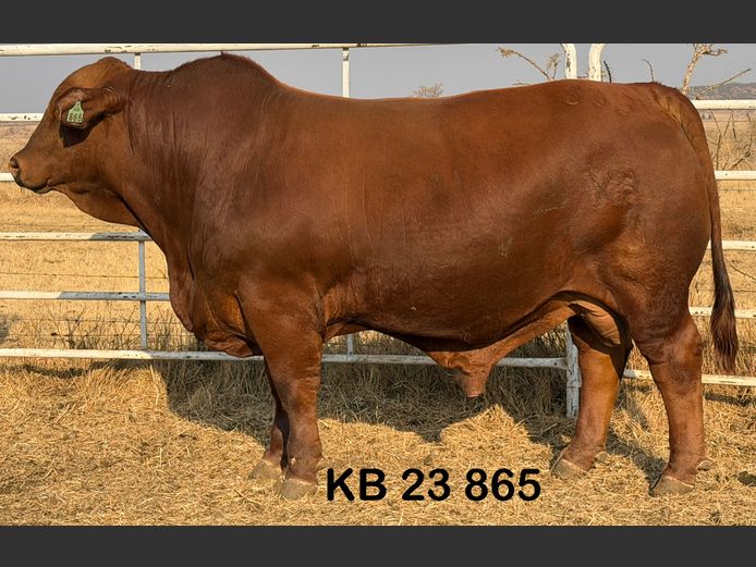 KB23865