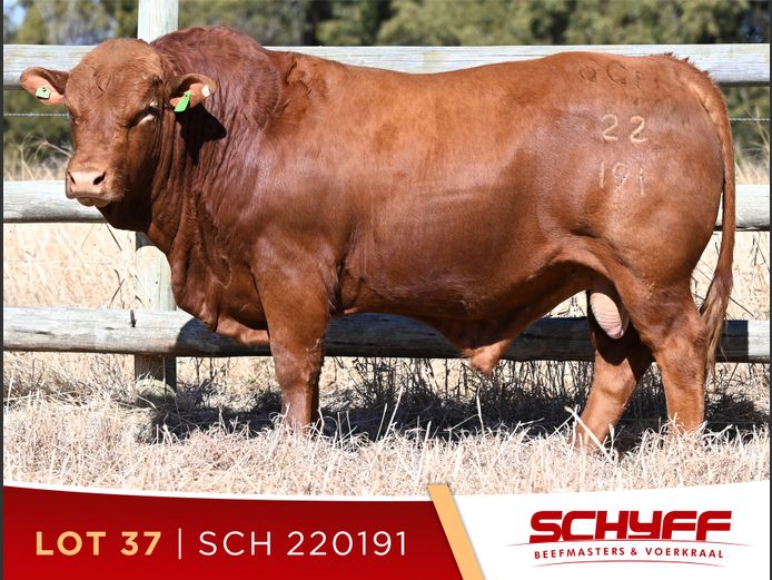 SCH 220191