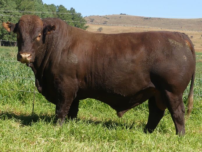 LAR 230224 | UP GEORGE FARMS CC