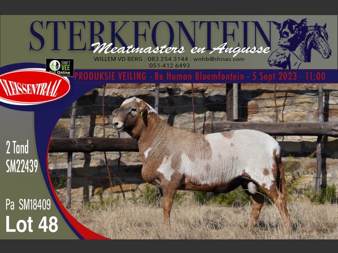 SM 22 439 | Sterkfontein Meatmasters