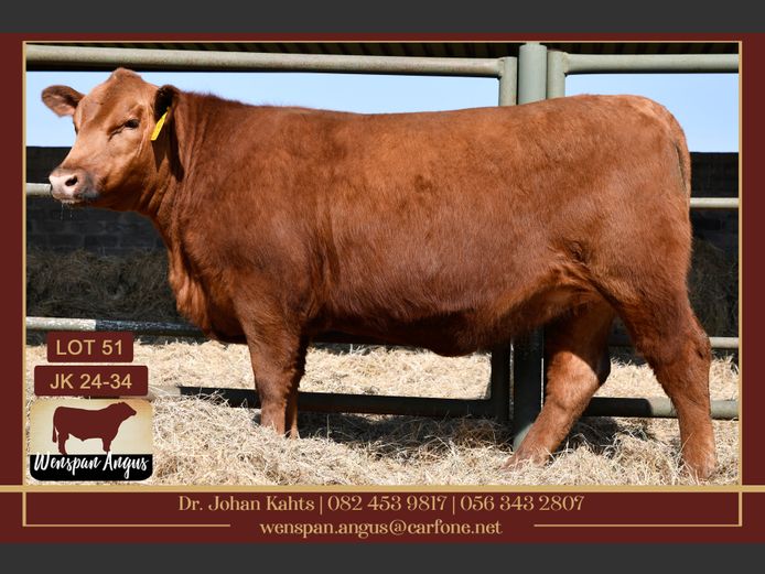 JK240034 | J. KAHTS