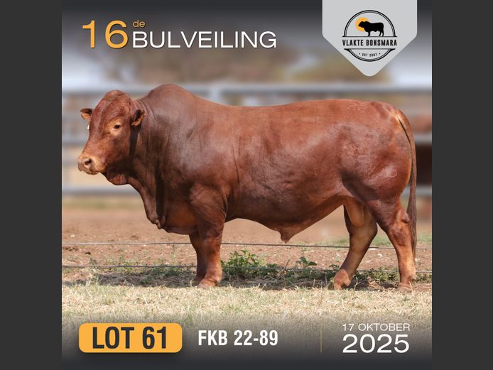 FKB 220089 | FRITS KROON BOERDERY