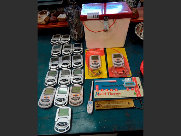 LOT: THERMOMETERS [Untested]