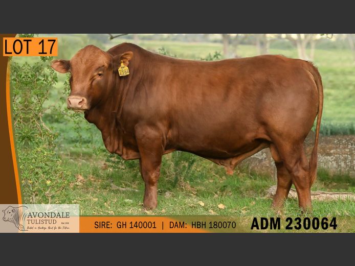 ADM 230064 | A.D. MULLINS