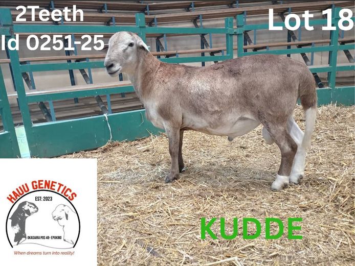 25-0351 | KAUU GENETICS