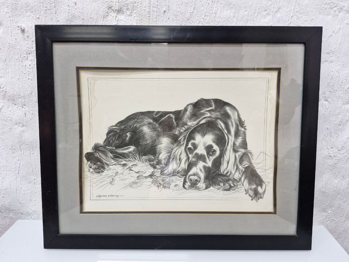 Framed Black & White Spaniel Dog Pencil Sketch Print by Pollyanna Pickering