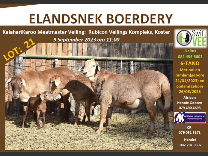 RSL 21 | ELANDSNEK BOERDERY