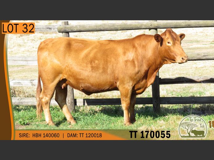 TT 170055 | S.T.R. MAINS-SHEARD