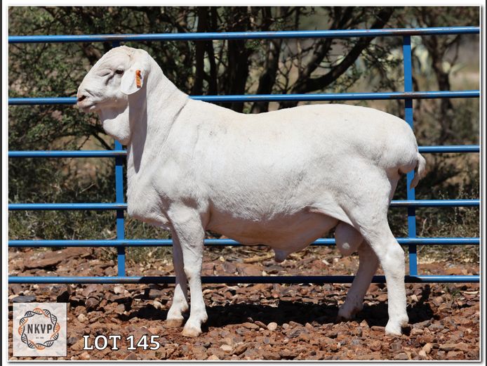 34 24 0334 | LOUIS VAN RENSBURG, H/A LEEUPUT TRUST