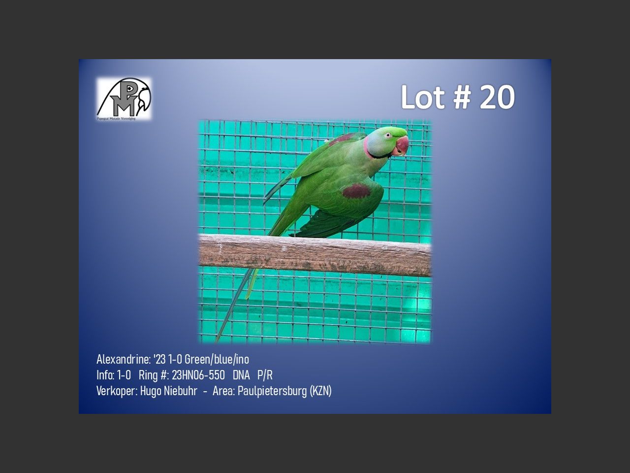 images