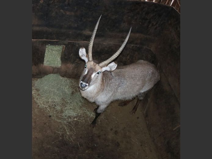 WATERBOK