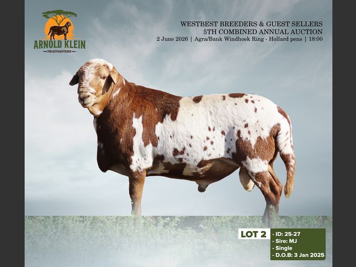25-27 | ARNOLD KLEIN MEATMASTERS