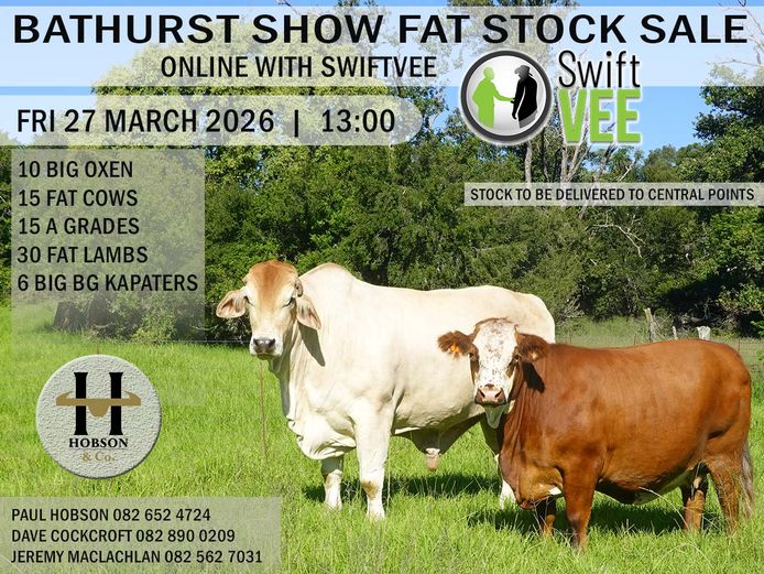 BATHURST SHOW FAT STOCK SALE