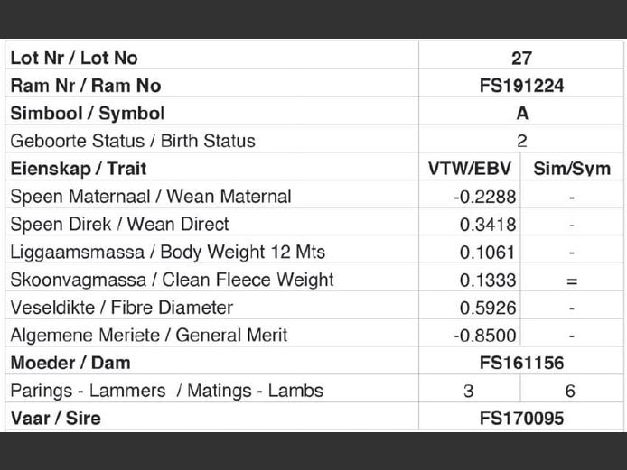 FS191224