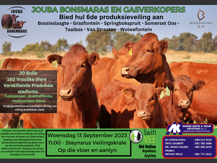 JOUBA BONSMARAS EN GASVERKOPERS 6DE PRODUKSIEVEILING