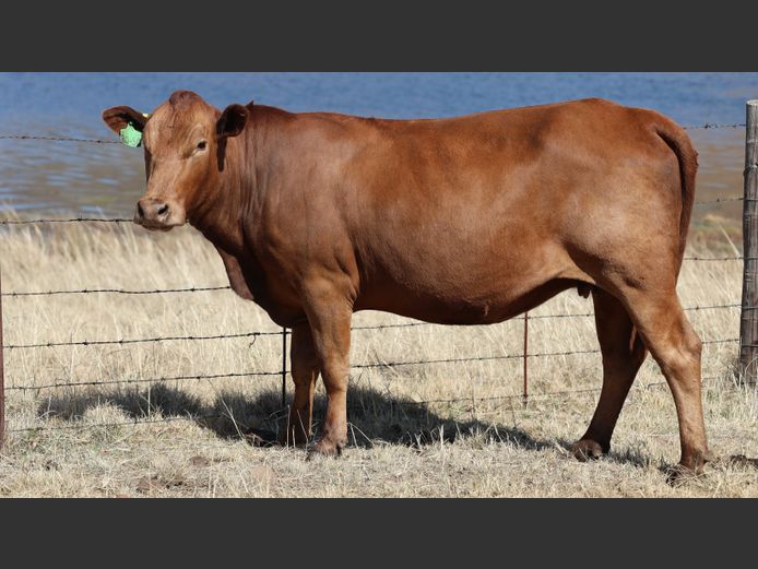 HBH 200050 | CLARK CATTLE COMPANY PTY LTD