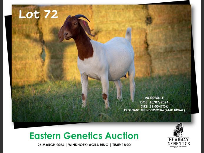 24-0025ULF | HEADWAY GENETICS