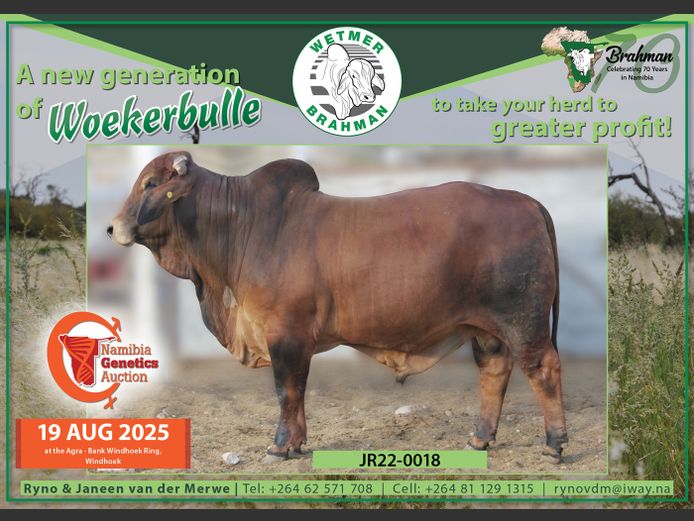 22-0018JR | WETMER BRAHMAN