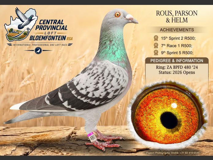 BPFD 480 2024 | ROUS, PARSONS & HELM