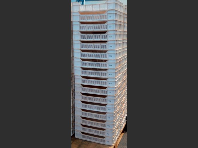 LOT OF 16: PLASTIC FRUIT CRATES