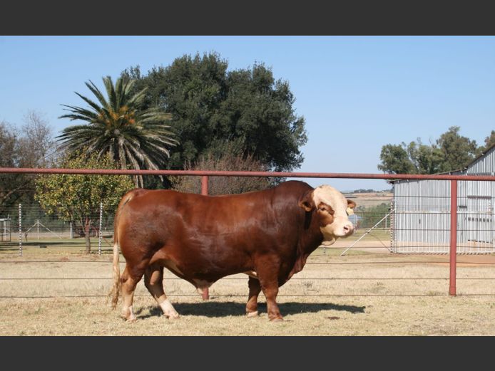WWL22108 | WP LUBBE