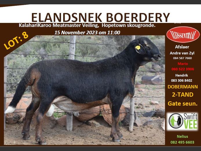 RSL B269 | ELANDSNEK BOERDERY