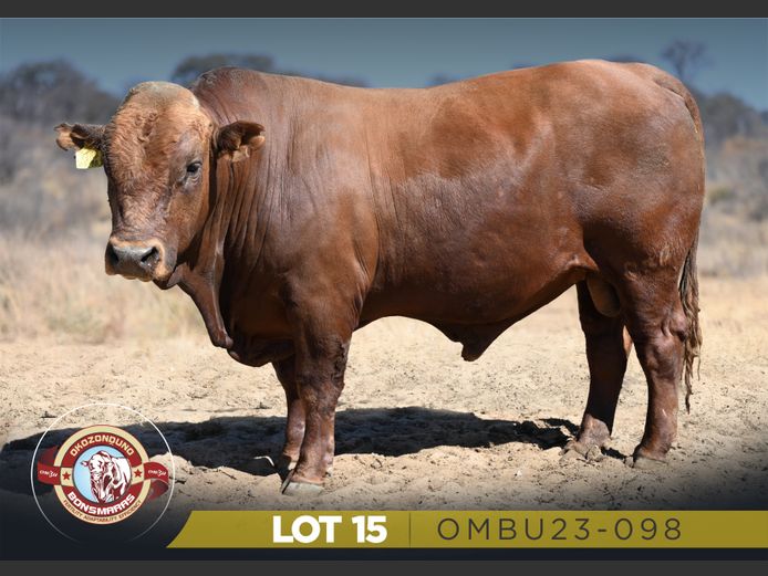 OMBU23-098 | OKOZONDUNO BONSMARAS