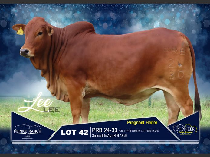 PRB 240030 | PEINKE RANCH