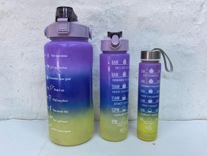Set of 3 Gradient Purple Motivational Water Bottles of Size (Large)