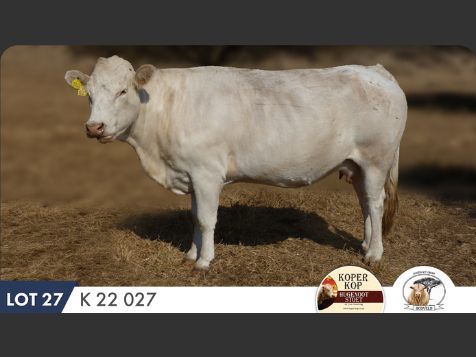 K220027 | KOPERKOP HUGENOOT STOET
