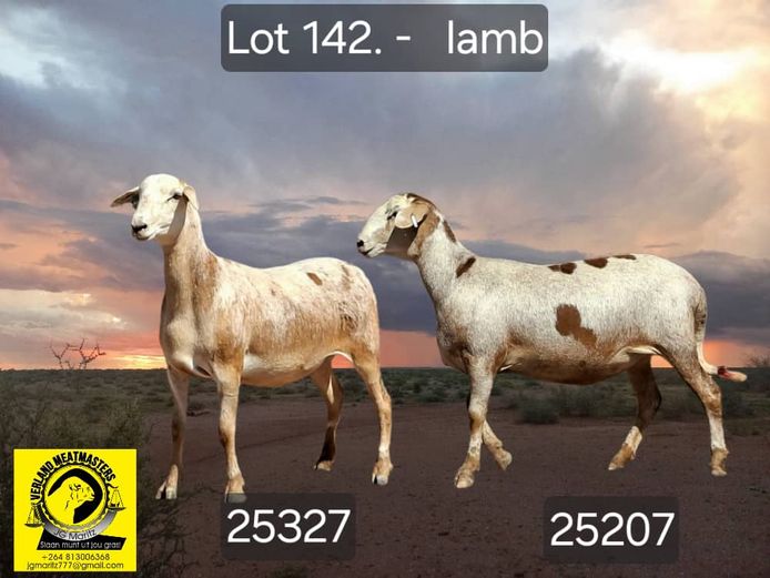 25207 | 25327 | VERLAND MEATMASTERS
