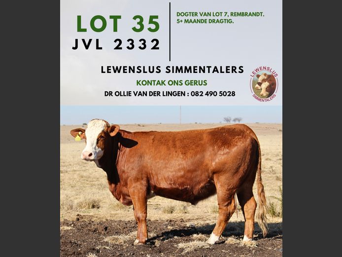 JVL2332 | DR JSH VAN DER LINGEN