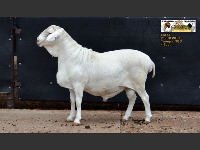 25-0303 NGO | O'KENNEDY GENETICS