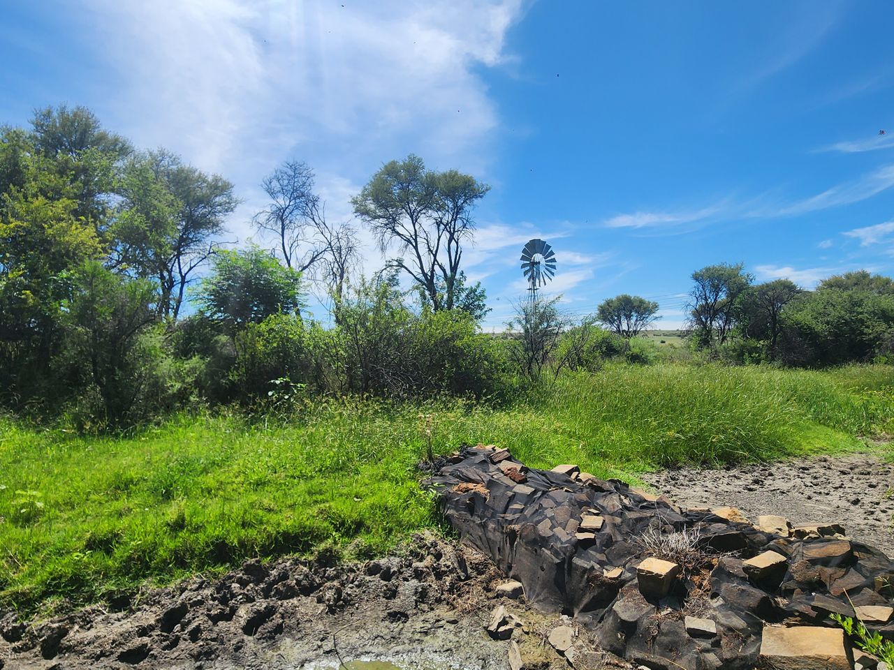 images
