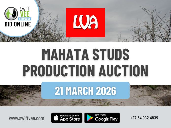MAHATA STUDS PRODUCTION AUCTION