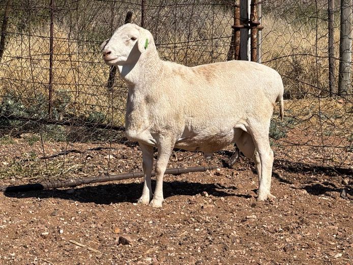 4 - 408 | De Hoop Boedery